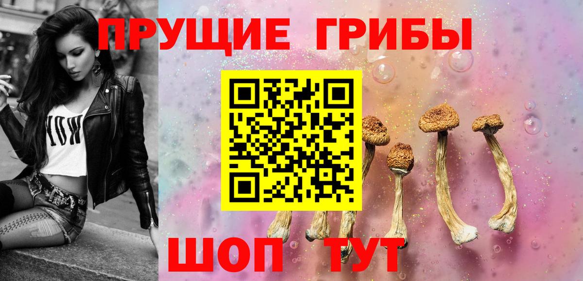 ГАШ Тамбов
