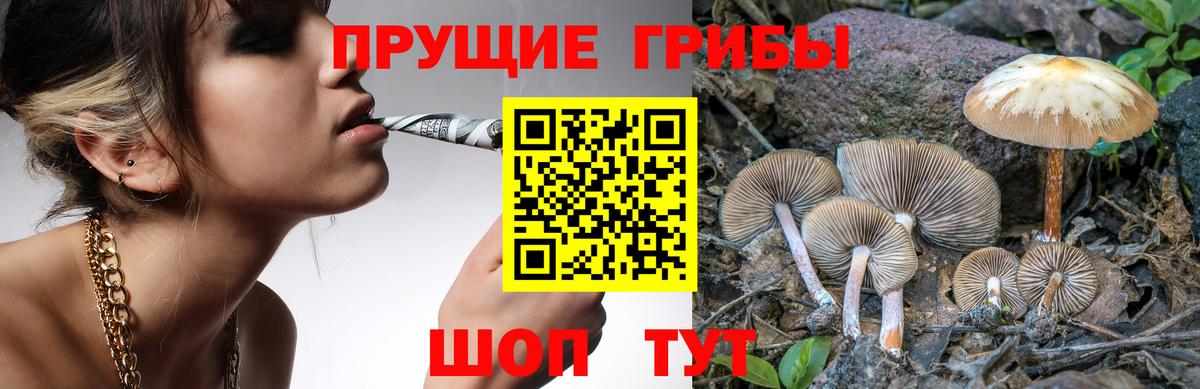 Псилоцибиновые грибы мухоморы Тамбов