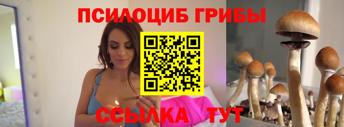 Псилоцибиновые грибы прущие грибы  Галлюциногенные грибы мицелий  Вход с VPN  Тамбов 
